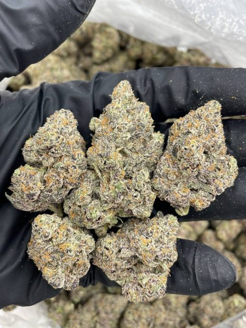 LA Pop Rocks Strain - Image 2