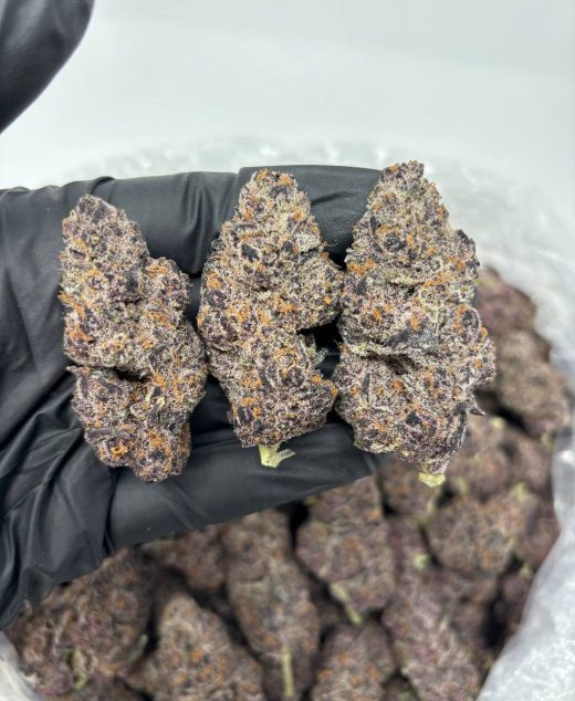 starburst strain