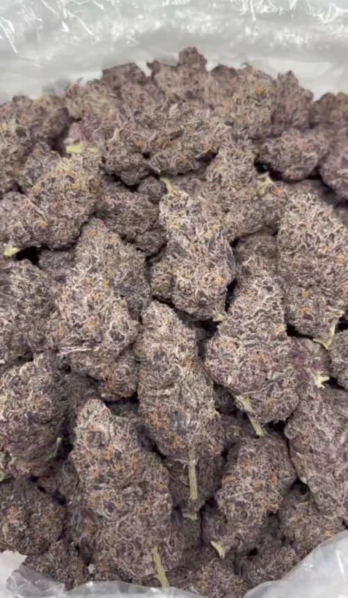 starburst strain - Image 2