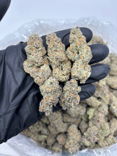 London Pound Cake Strain - Image 2