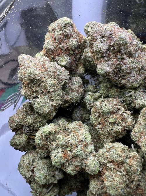 Original Glue Strain - Image 2