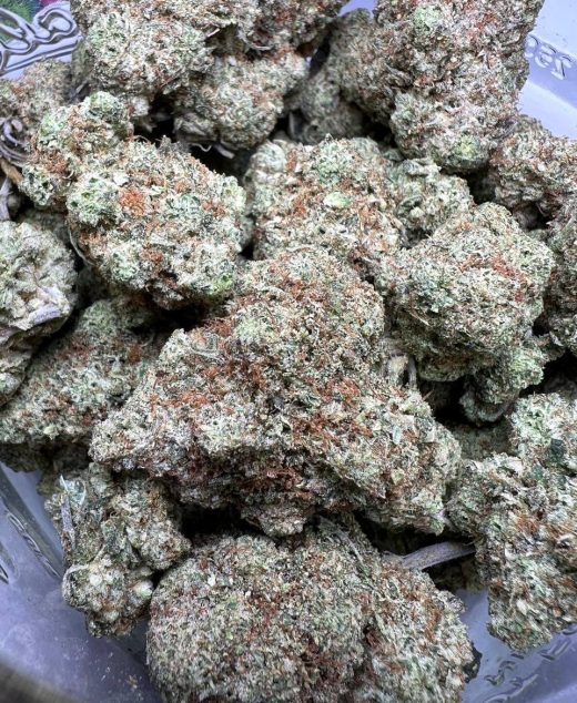 Original Glue Strain