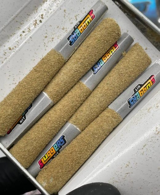 Sluggers Prerolls