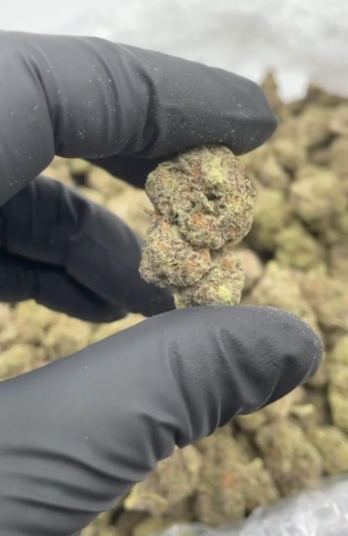 Milk And Cookies Strain - Image 2