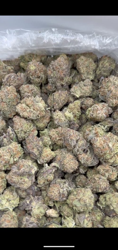 Gorilla Glue Strain - Image 2