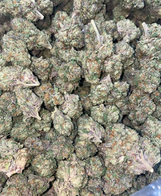 Biscotti Popz Strain