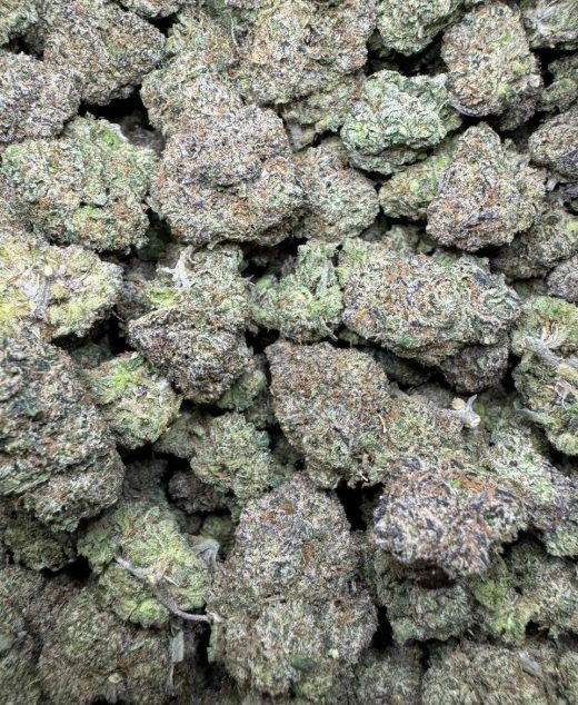 Candy Gumbo Strain