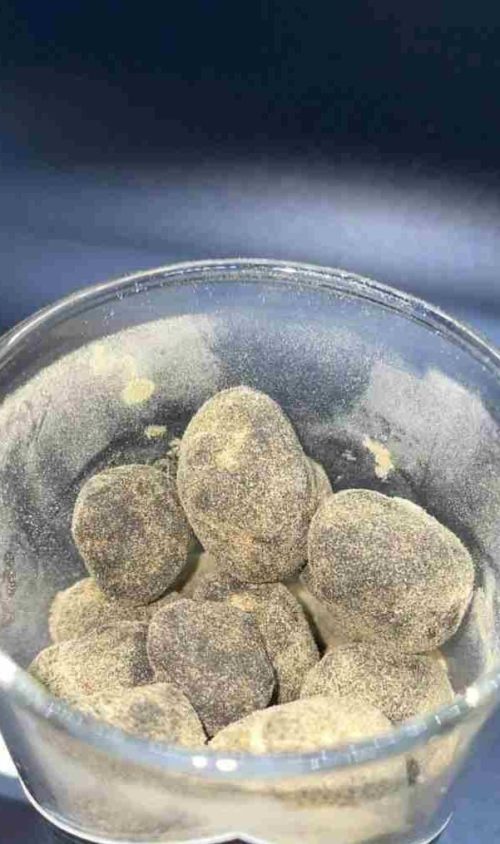 Canna Cavi Moon Rocks