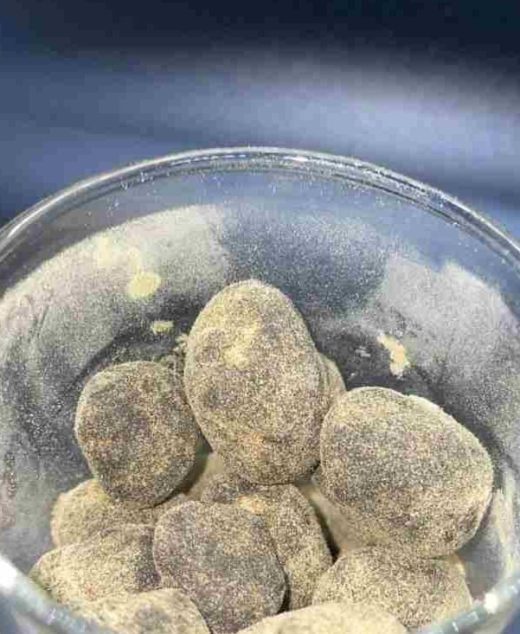 Canna Cavi Moon Rocks