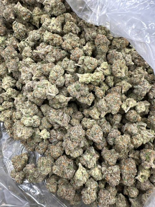 Lemon Popperz Strain - Image 2