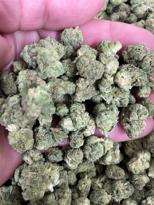 Cotton Candy Strain - Image 3