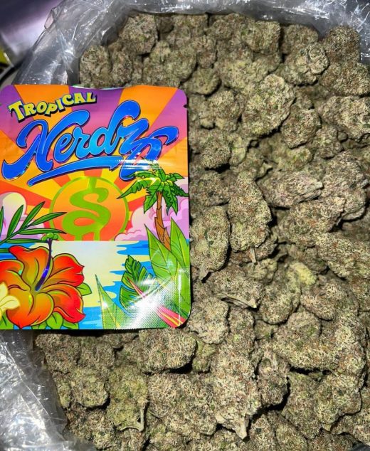 Tropical Nerdz Strain