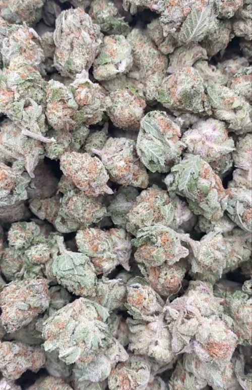 Punch Berry Strain - Image 2