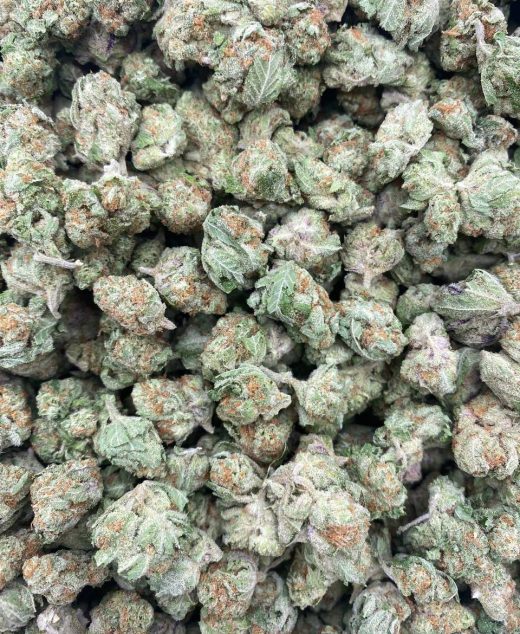Punch Berry Strain