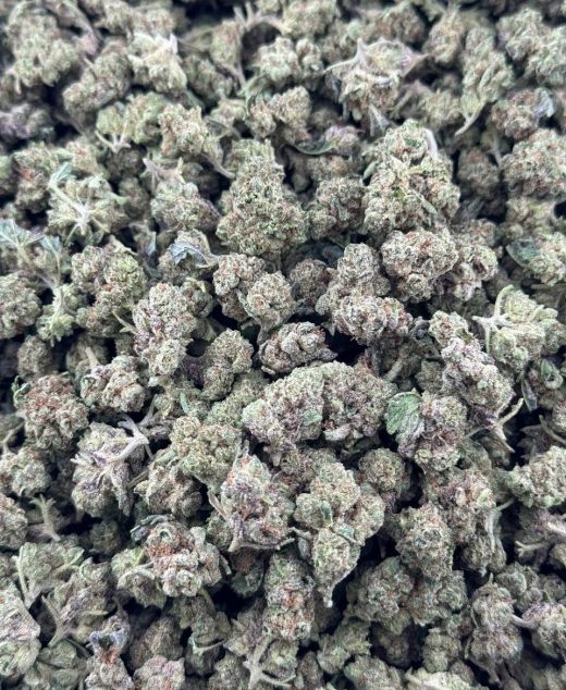 LA Runtz Strain
