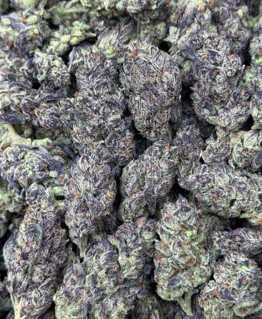 Black Runtz Strain