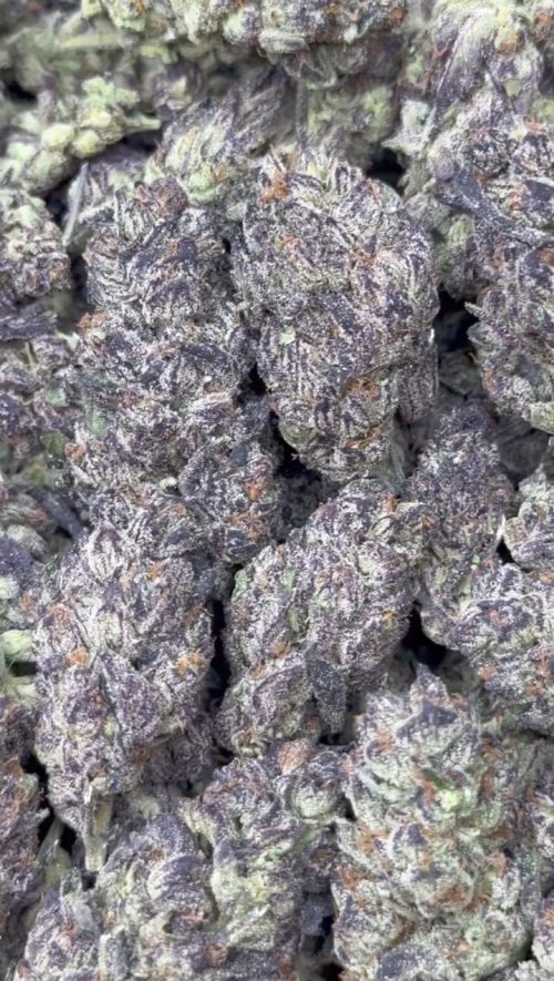 Black Runtz Strain - Image 2