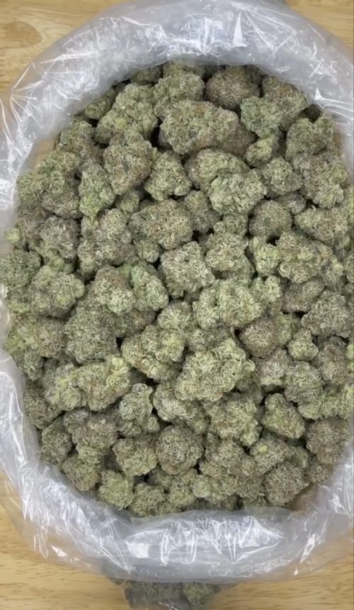 Zooties Strain - Image 2