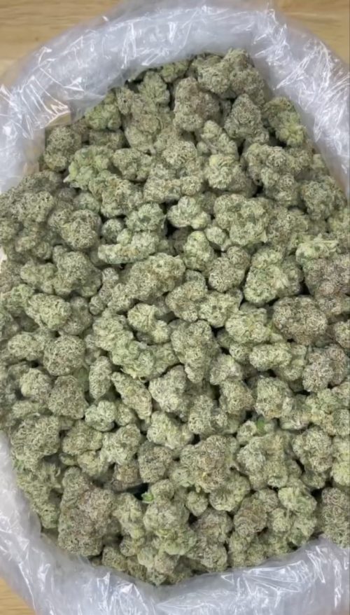 White Cherry Strain - Image 2