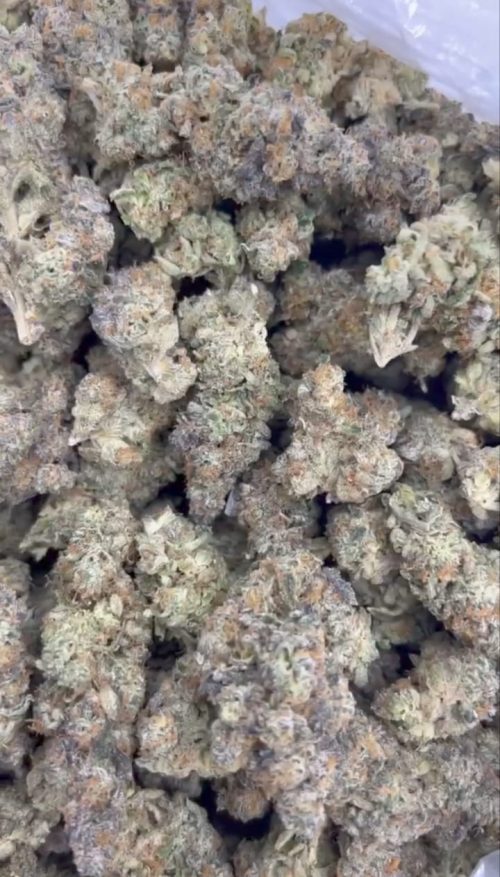 Gas Face Strain - Image 2