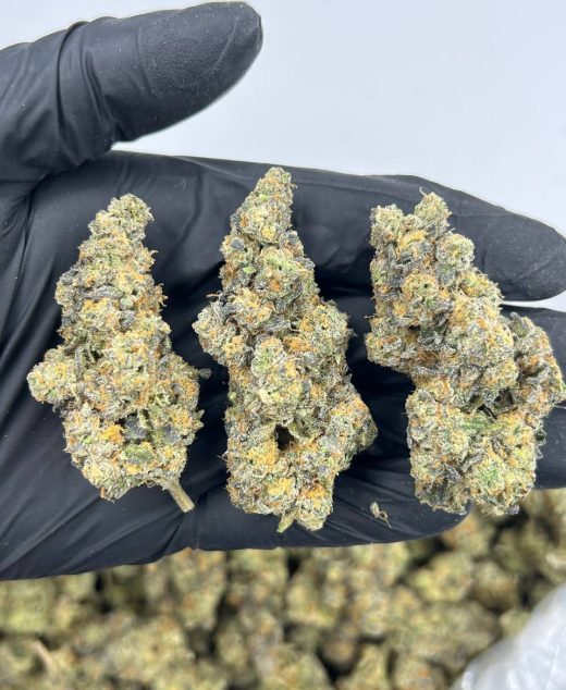 Gas Face Strain
