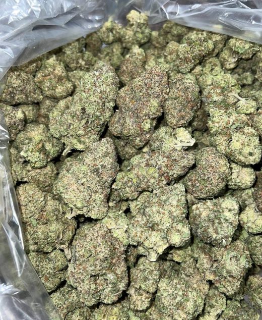 Ice Pop Strain