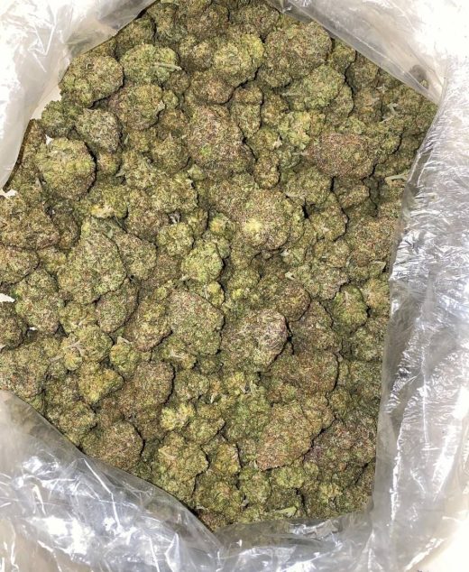 Blue Nerdz Strain