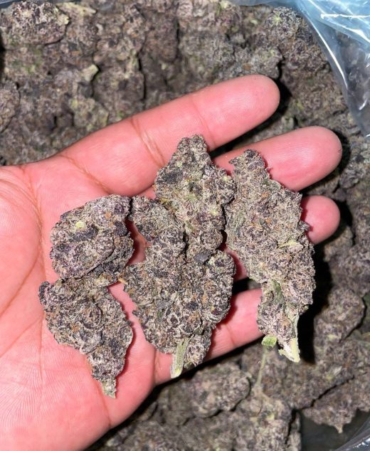 Galaxy Runtz Strain