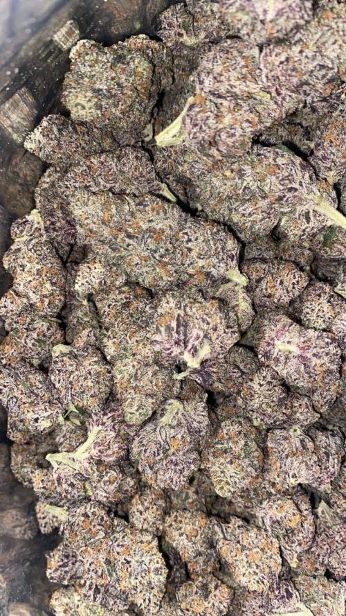 White Cherry Runtz Strain - Image 2