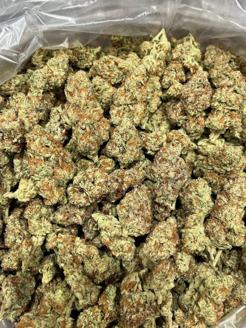 Sherblato Strain