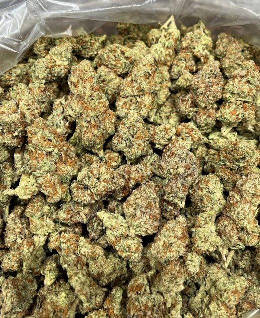 Sherblato Strain