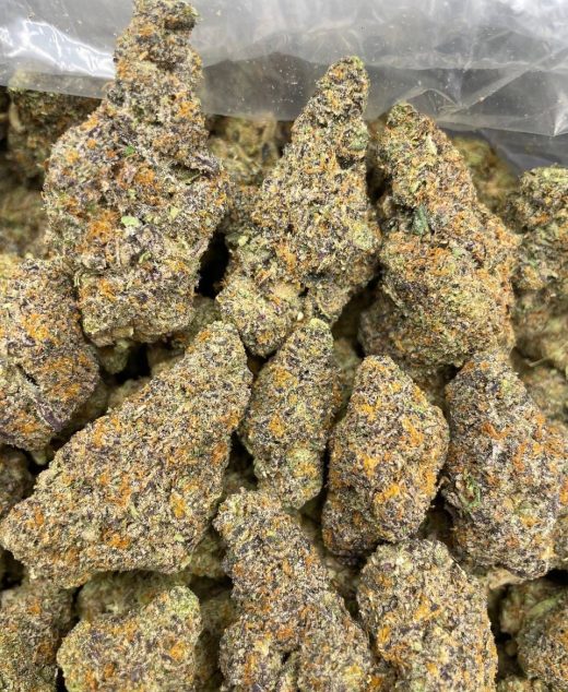 Chelato Strain