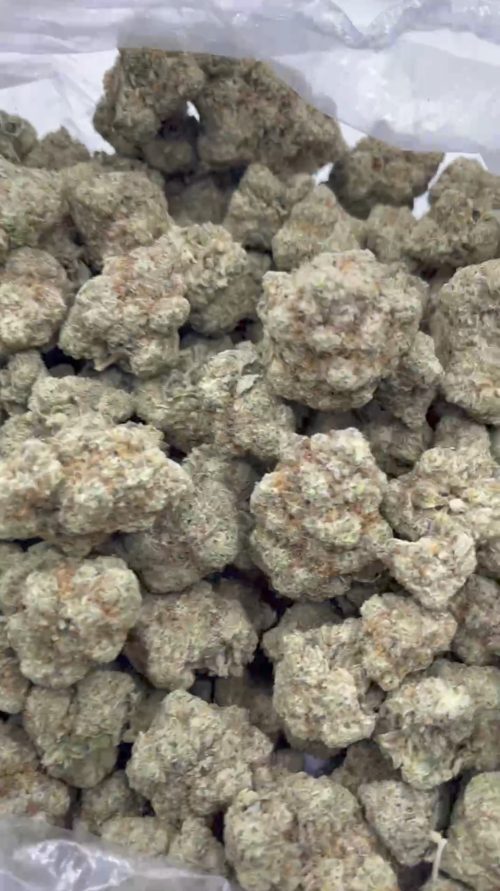 White Wizard Strain - Image 3