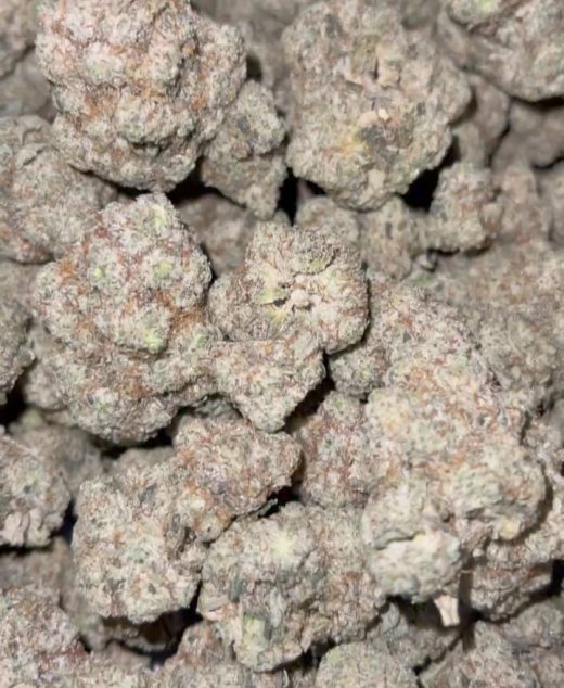 White Wizard Strain