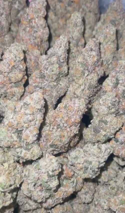 Do-Si-Do Strain