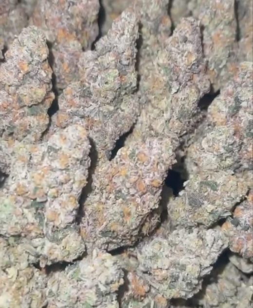 Do-Si-Do Strain