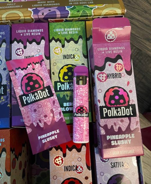 Polkadot Disposable