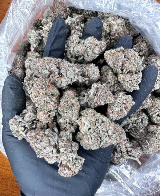 Big Drip Strain