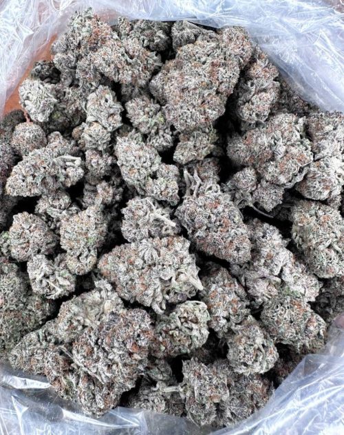 Big Drip Strain - Image 2