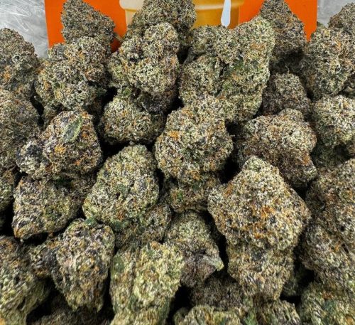 Northern Lights Strain - Image 2