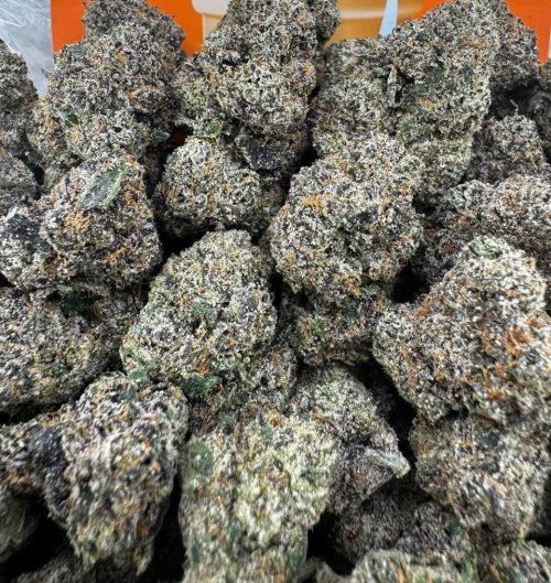 Northern Lights Strain