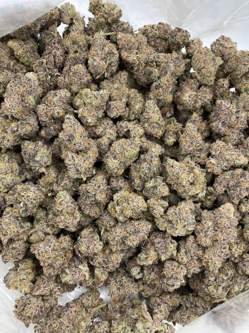 Pink Lemonade Strain