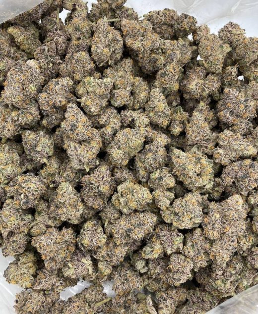Pink Lemonade Strain