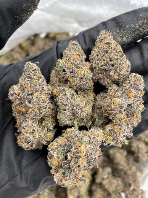 Pink Lemonade Strain - Image 2