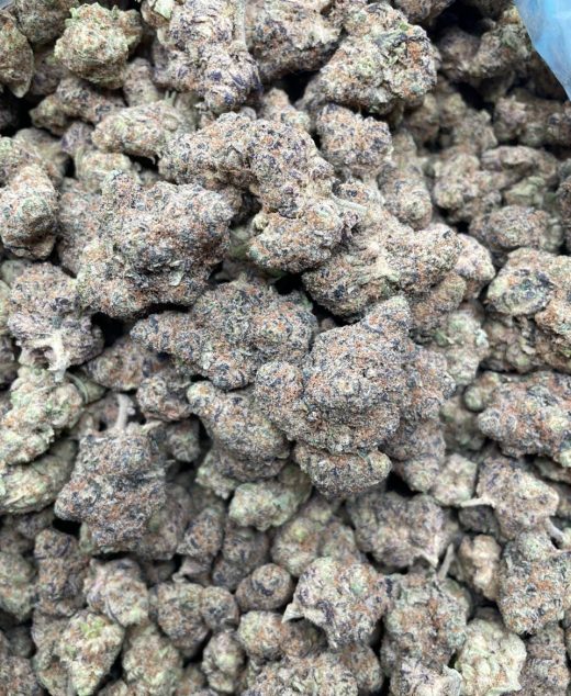 Cream Soda Strain