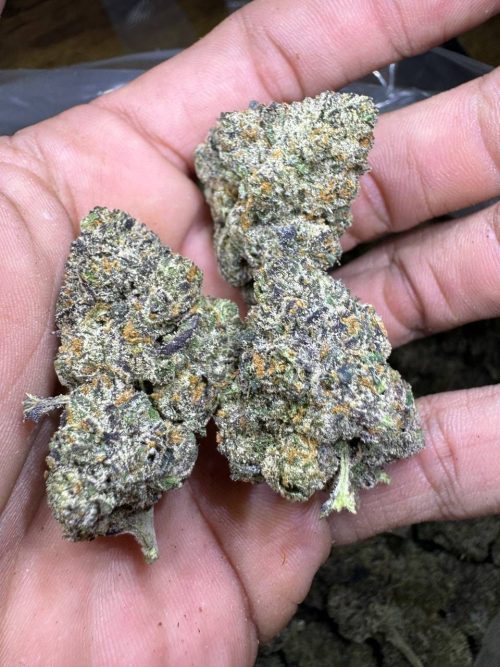 Candy Crush Strain