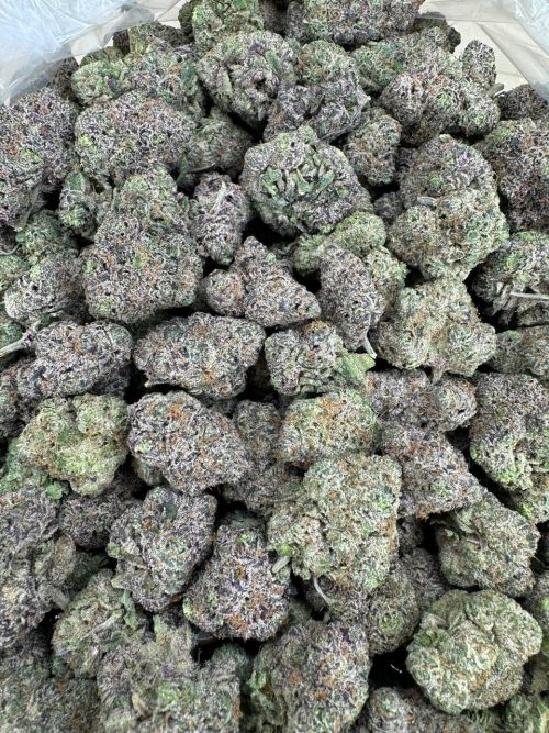 Diesel Runtz Strain - Image 2