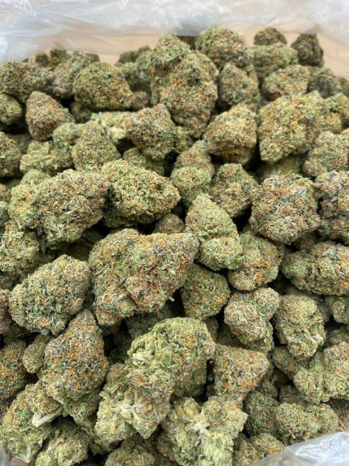 White Runtz Strain