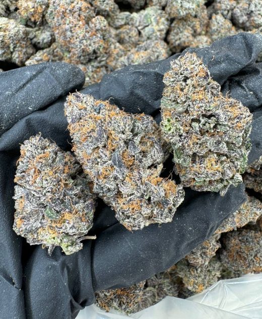Gelato Gas Strain