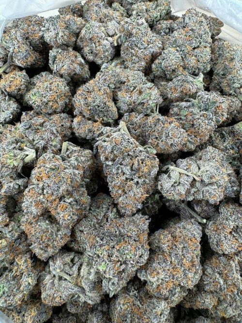 Gelato Gas Strain - Image 2